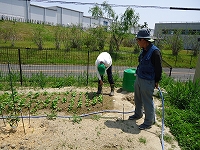 �w�юɂ����܂������̎ʐ^6