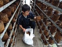 �w�юɂ����܂������̎ʐ^8