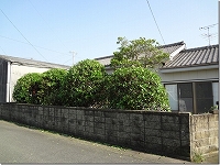 �����ǂ��ł��̎ʐ^