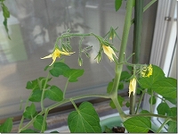 �����ǂ��ł��̎ʐ^