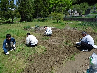 �܈䂢�낢��̎ʐ^