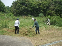 �݂����̎ʐ^