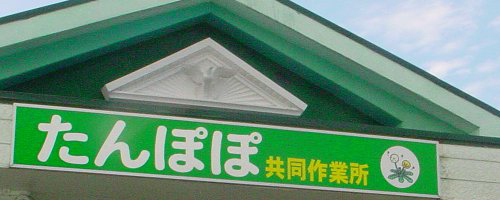 ����ۂۋ�����Ə��̎ʐ^